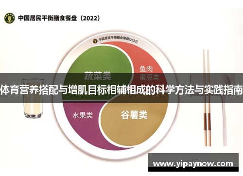 体育营养搭配与增肌目标相辅相成的科学方法与实践指南